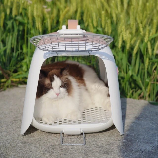 JOLLY Purrpy 寵物外出籠(貓狗適用 提籠 手提 隔尿板)